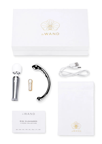 Mini pleasures set van LeWand met zilveren wand, zwarte boog, kabel en opbergtasje