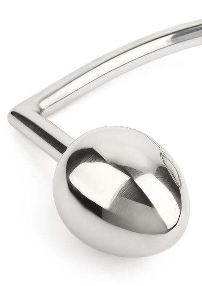 Ei-vormige knop en kromme stang van metalen trekhaak, glanzend zilver