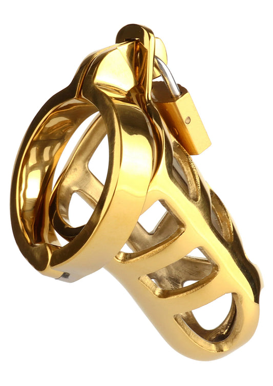 Gouden metalen kooi met open patroon en ronde beugel, schuin van opzij