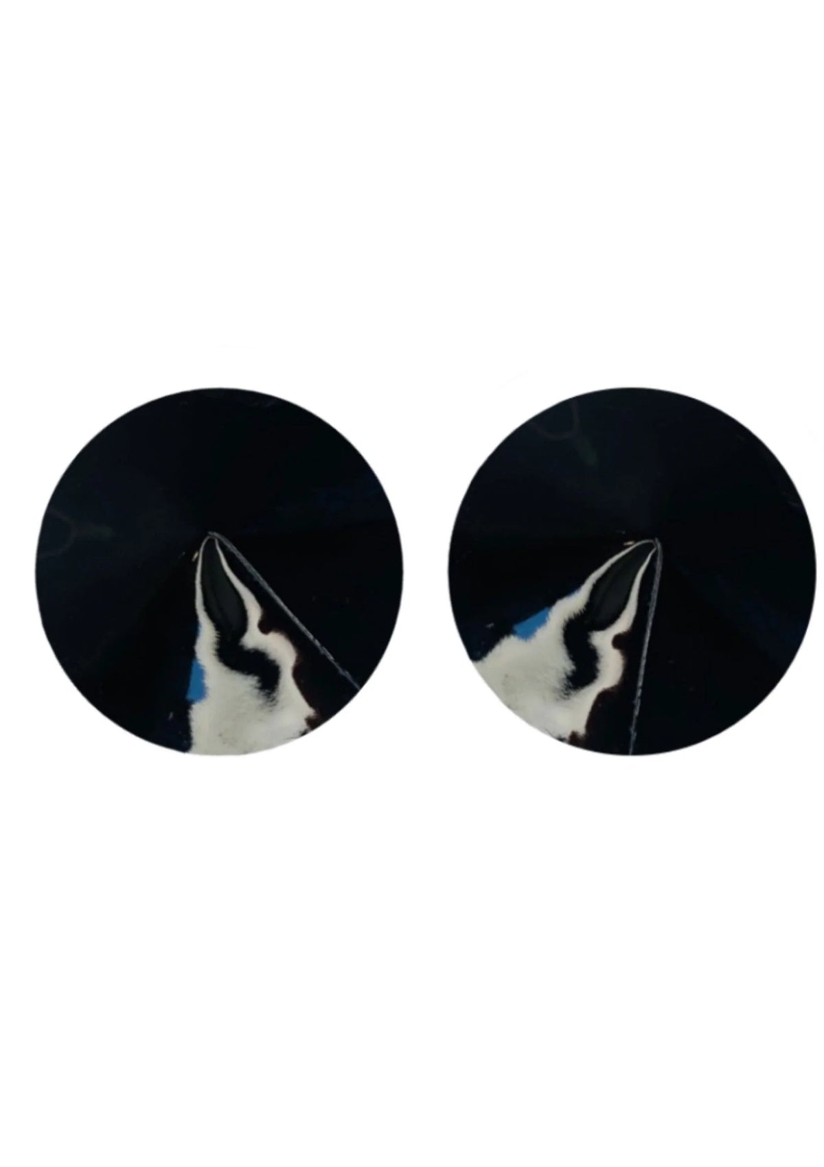 Bestel: Nipple Covers Gloss - bij Happytoys: de erotische sex webshop | liever Happy dan Easy ⭐⭐⭐⭐⭐ - Default Title - 70834 - BLACK - O/S