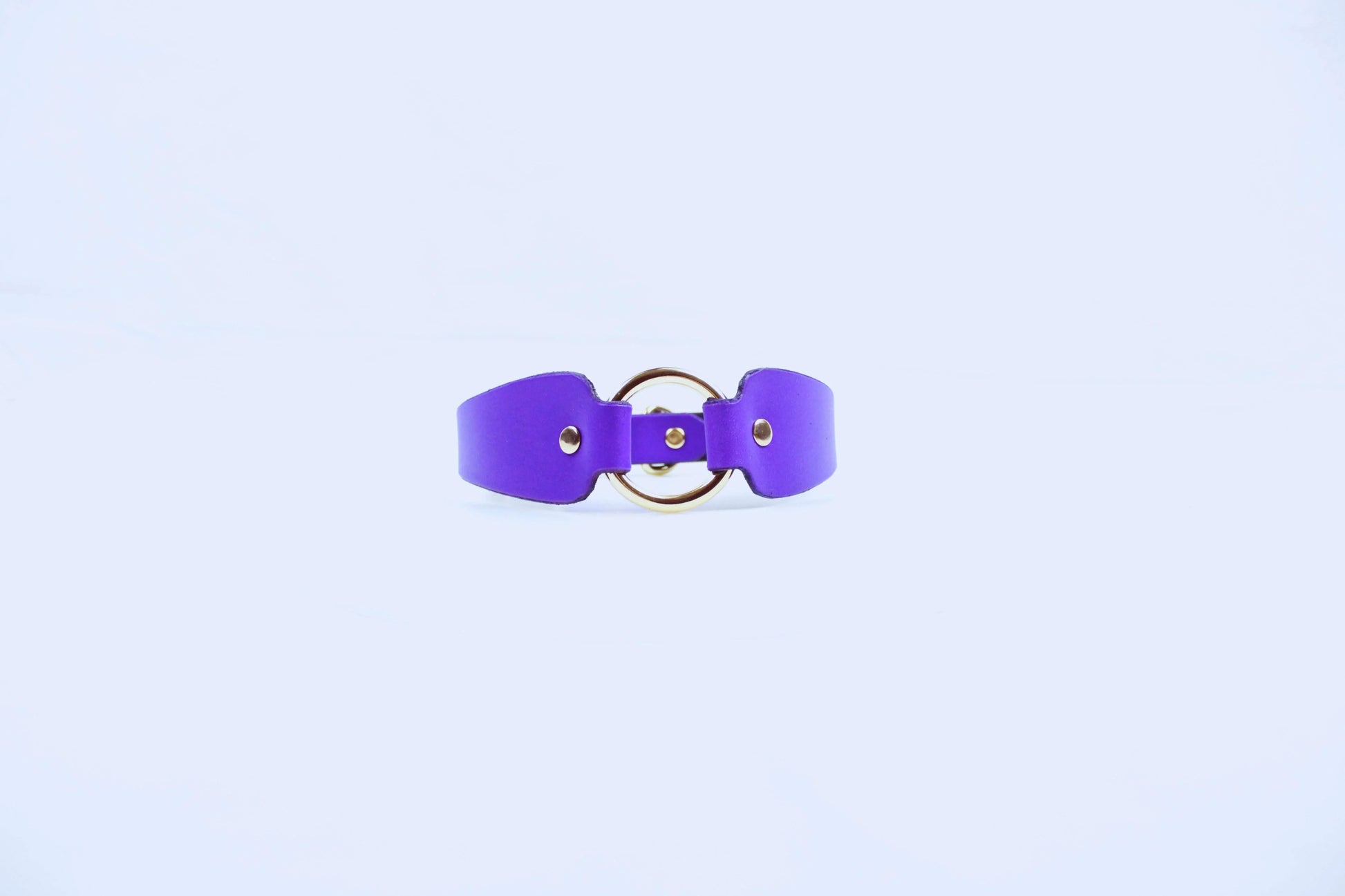 Submissive Collar With Ring – Discreet Day Collar Jewelry For Devotion - Happytoys Sexshop: online sex shop for Feeling Happy & Easy 😊 - Discreet geleverd
