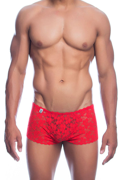 Rose Lace Boy Short by MOB Eroticwear