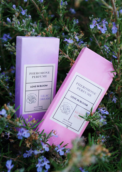 Bestel: Phero Parfum Attract Him 10 ml by Eye of Love - bij Happytoys: de erotische sex webshop | liever Happy dan Easy ⭐⭐⭐⭐⭐