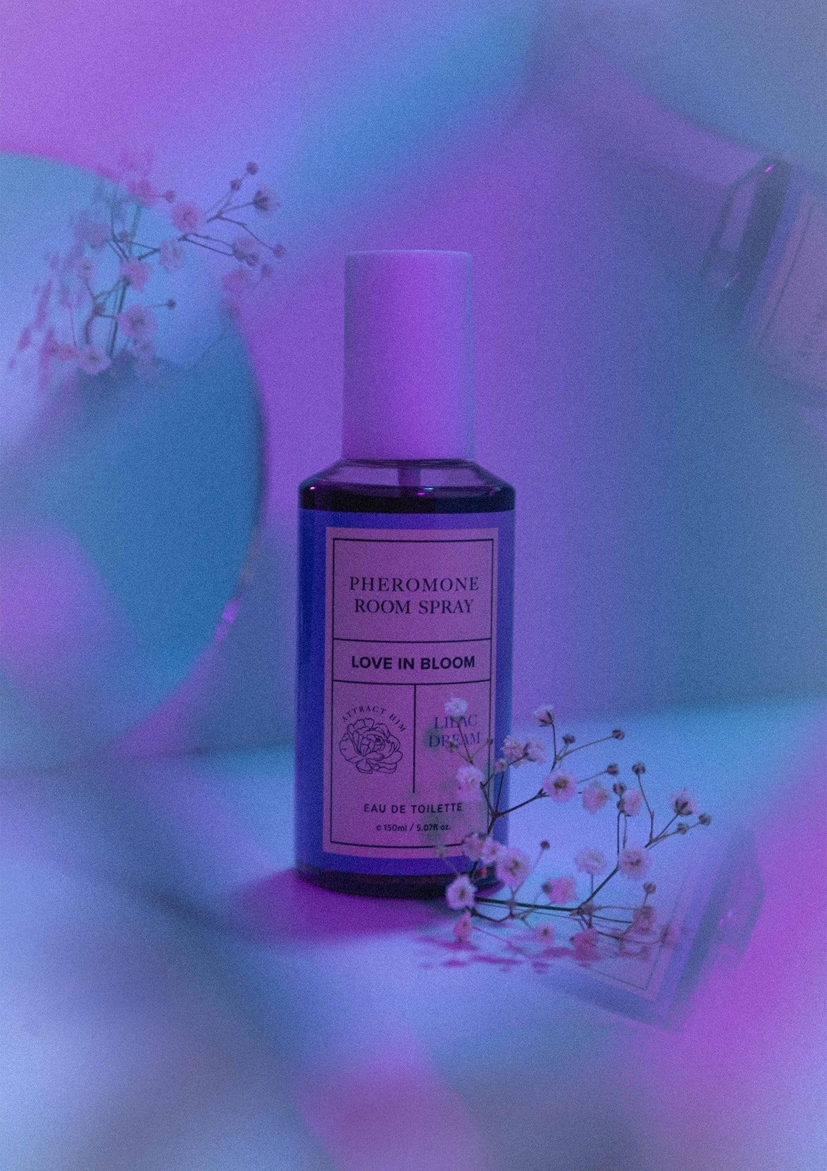 Bestel: Room Phero Attract Him 150 ml - bij Happytoys: de erotische sex webshop | liever Happy dan Easy ⭐⭐⭐⭐⭐