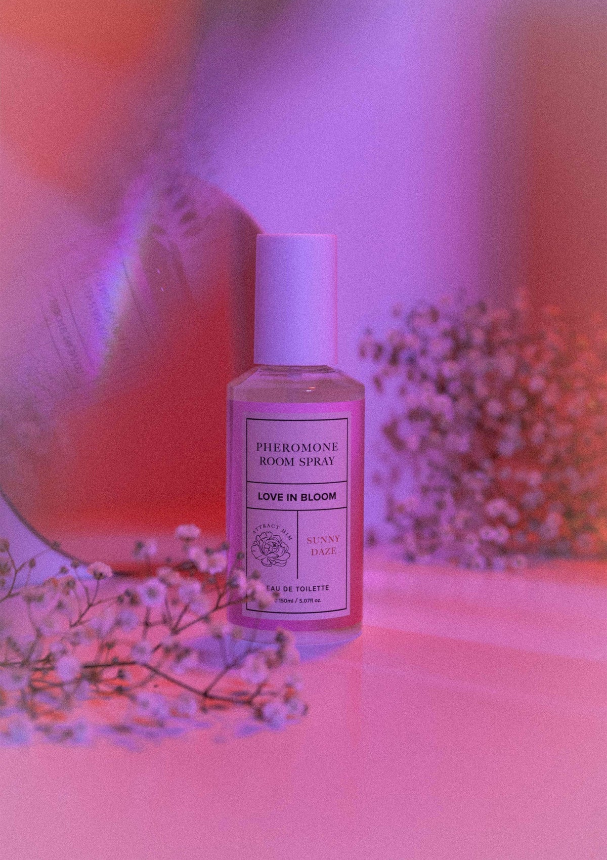 Bestel: Room Phero Attract Him 150 ml - bij Happytoys: de erotische sex webshop | liever Happy dan Easy ⭐⭐⭐⭐⭐