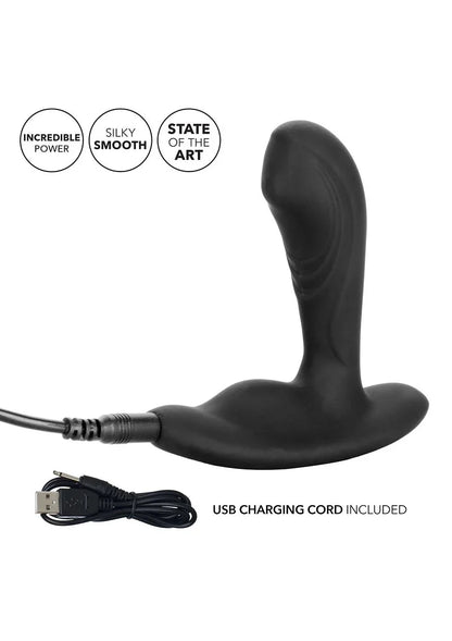 Eclipse Tapered Roller Ball Probe by CalExotics - Happytoys Sexshop: Toys for Feeling Happy & Easy 😊 - Discreet geleverd