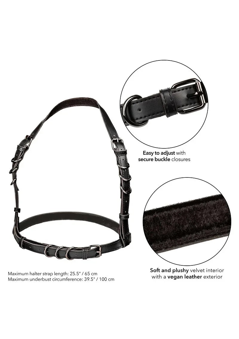 Euphoria Collection Halter Buckle Harness by CalExotics - Happytoys Sexshop: Toys for Feeling Happy & Easy 😊 - Discreet geleverd
