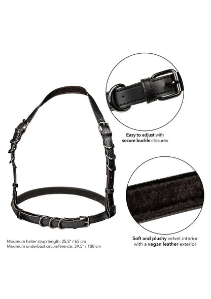 Euphoria Collection Halter Buckle Harness by CalExotics - Happytoys Sexshop: Toys for Feeling Happy & Easy 😊 - Discreet geleverd