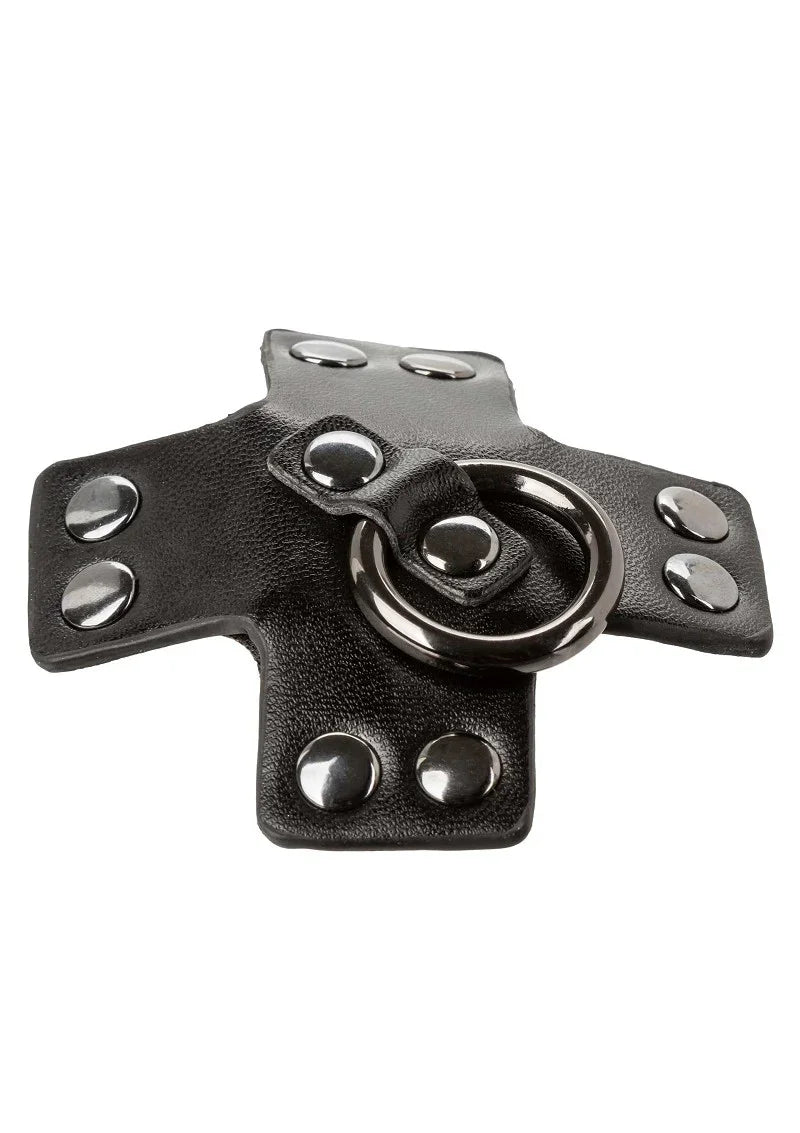 Euphoria Collection O-Ring Pasties by CalExotics - Happytoys Sexshop: Toys for Feeling Happy & Easy 😊 - Discreet geleverd