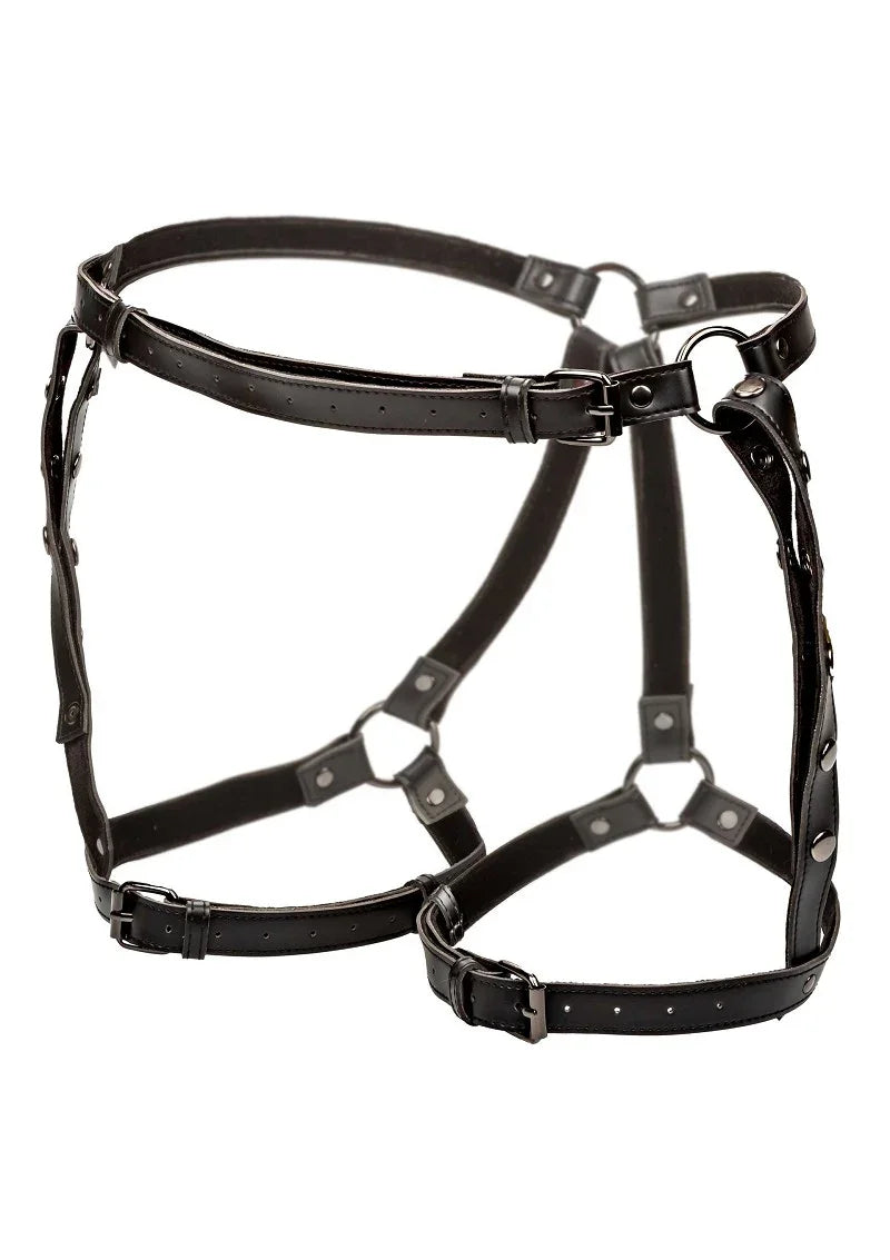 Euphoria Collection Riding Thigh Harness by CalExotics - Happytoys Sexshop: Toys for Feeling Happy & Easy 😊 - Discreet geleverd