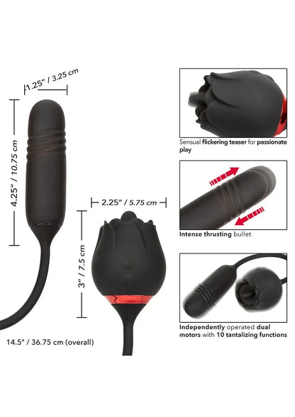 ♀ CalExotics French Kiss Elite Romeo double action vibrator - Happytoys Sexshop: Toys for Feeling Happy & Easy 😊 - Discreet geleverd