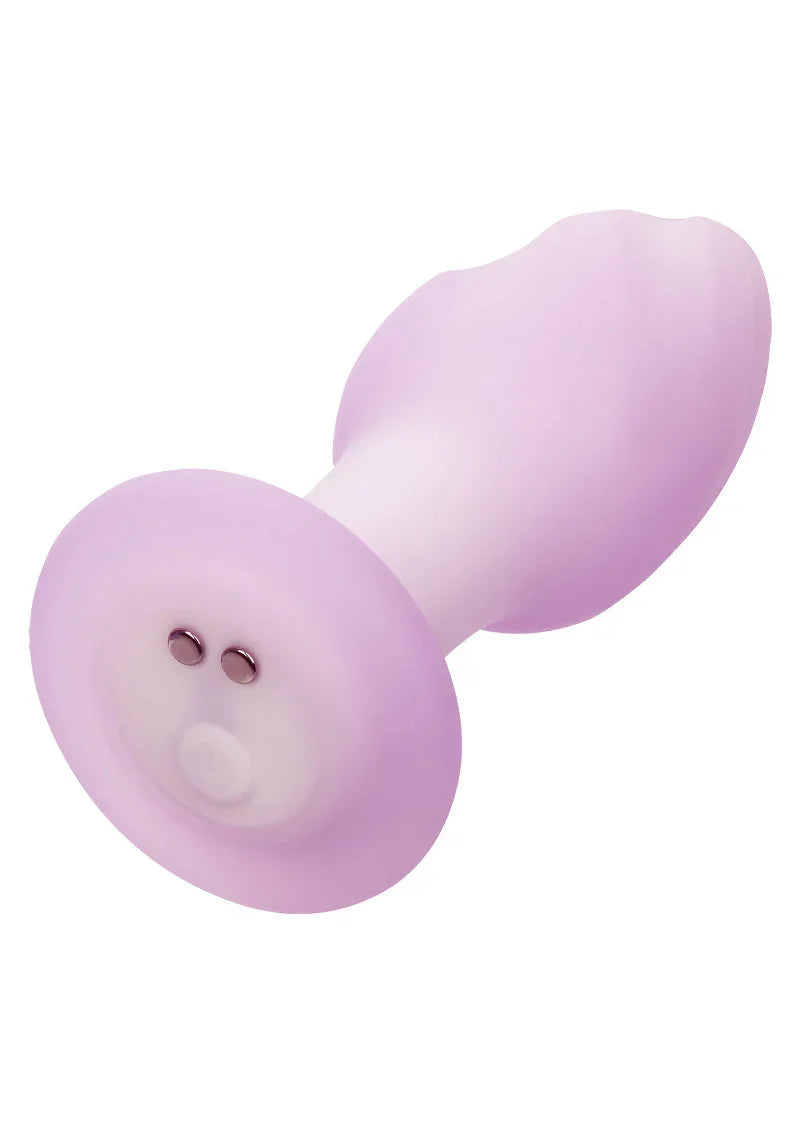 Lavender Haze Ridge Probe by CalExotics - Happytoys Sexshop: Toys for Feeling Happy & Easy 😊 - Discreet geleverd