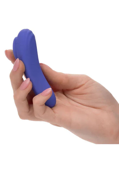 Calex Connect Panty Teaser by CalExotics