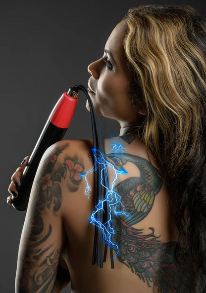 Electro Wand Whip by Taboom