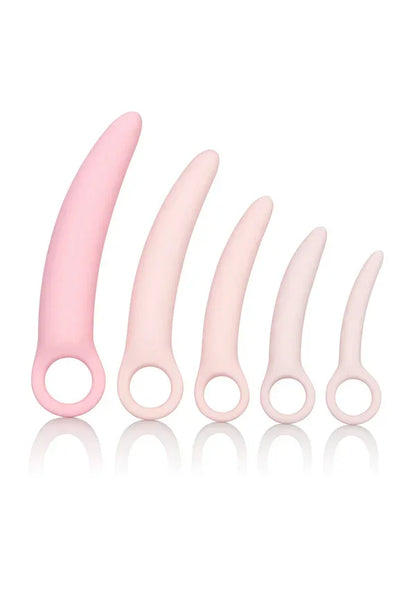 Inspire Silicone Dilator Kit 5-Piece Set CalExotics - Happytoys Sexshop: Toys for Feeling Happy & Easy 😊 - Discreet geleverd