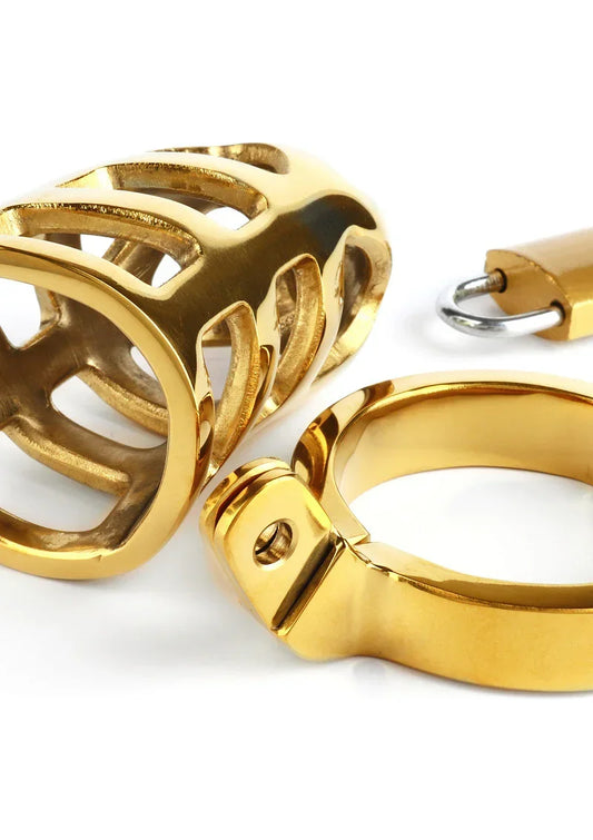 Gouden metalen kooi met open beugels en sluiting, close-up van de ring