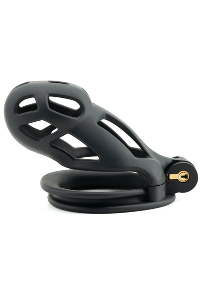 Penis Prison Cock Cage Regular @ Hidden Desire