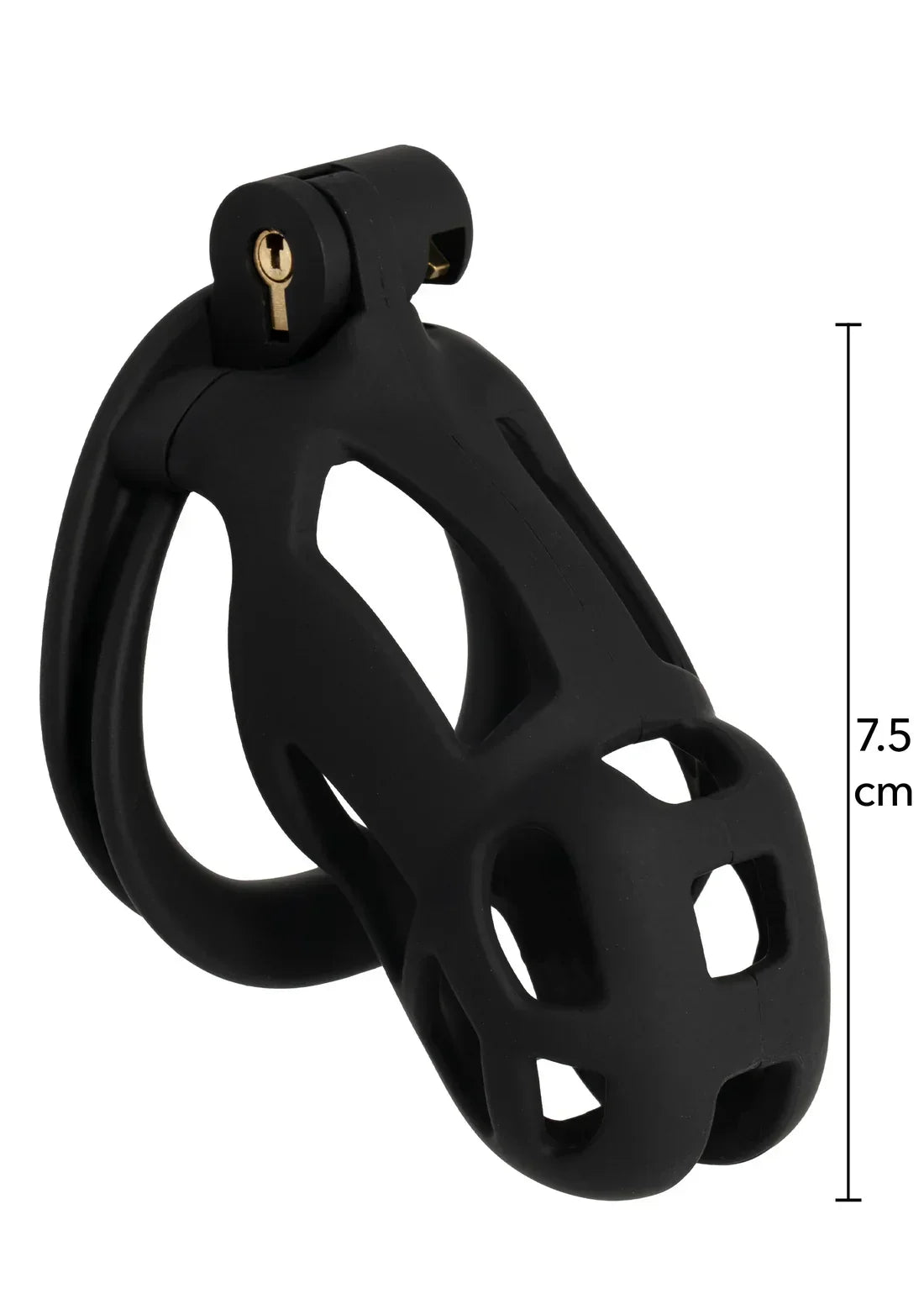 Penis Prison Cock Cage Regular @ Hidden Desire