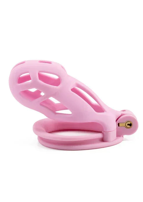 Penis Prison Cock Cage Regular @ Hidden Desire