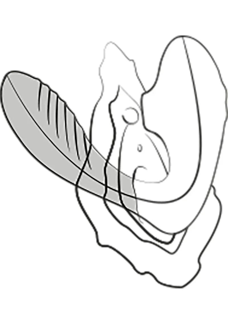 Reverb G-spot Air pressure Vibrator by Romp - Happytoys Sexshop: Toys for Feeling Happy & Easy 😊 - Discreet geleverd