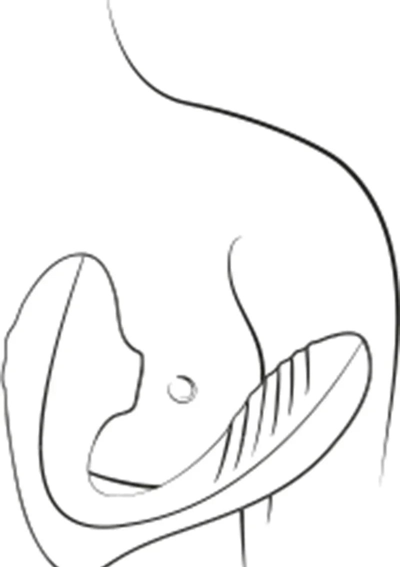 Reverb G-spot Air pressure Vibrator by Romp - Happytoys Sexshop: Toys for Feeling Happy & Easy 😊 - Discreet geleverd