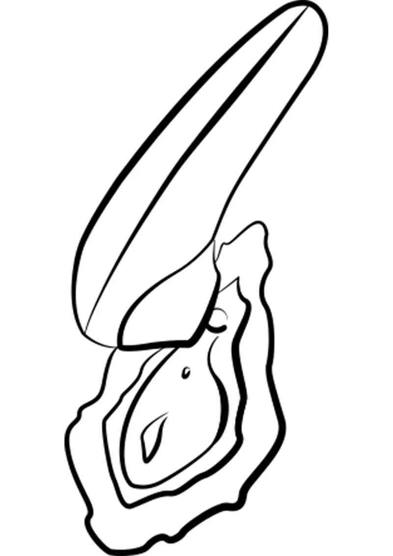 Switch X by Romp - Happytoys Sexshop: Toys for Feeling Happy & Easy 😊 - Discreet geleverd