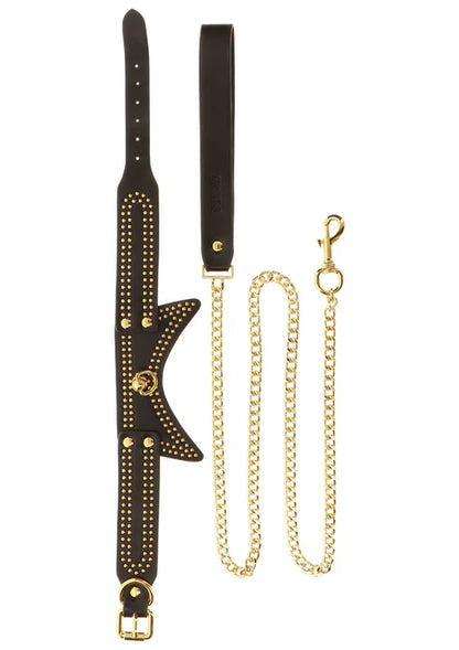 Studded Collar and Leash @ Taboom