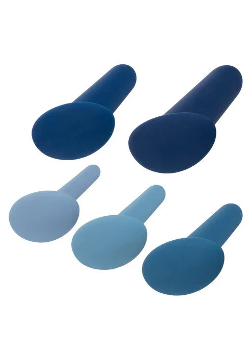 They-ology 5-Piece Wearable Anal Training Set by CalExotics