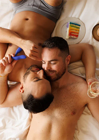 Vector + by We-Vibe - Happytoys Sexshop: Toys for Feeling Happy & Easy 😊 - Discreet geleverd