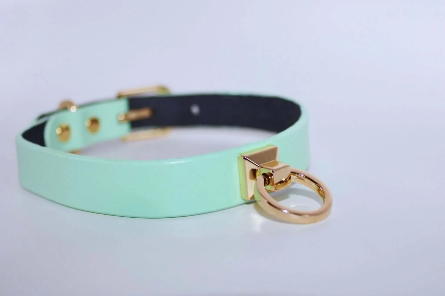 Collars For Women Mint Green Leather ORing Choker Collar for BDSM Play - Happytoys Sexshop: online sex shop for Feeling Happy & Easy 😊 - Discreet geleverd