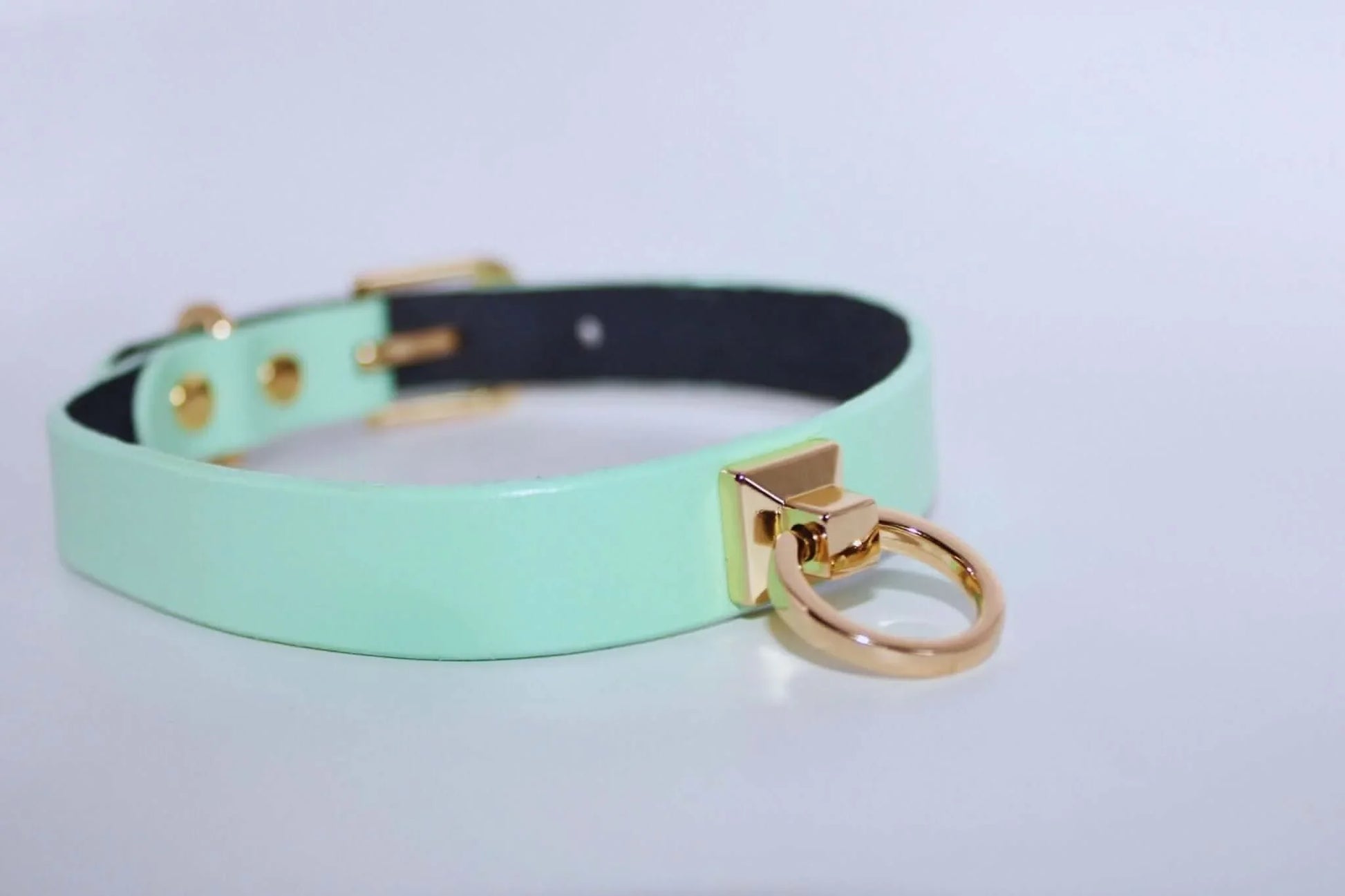 Collars For Women Mint Green Leather ORing Choker Collar for BDSM Play - Happytoys Sexshop: online sex shop for Feeling Happy & Easy 😊 - Discreet geleverd