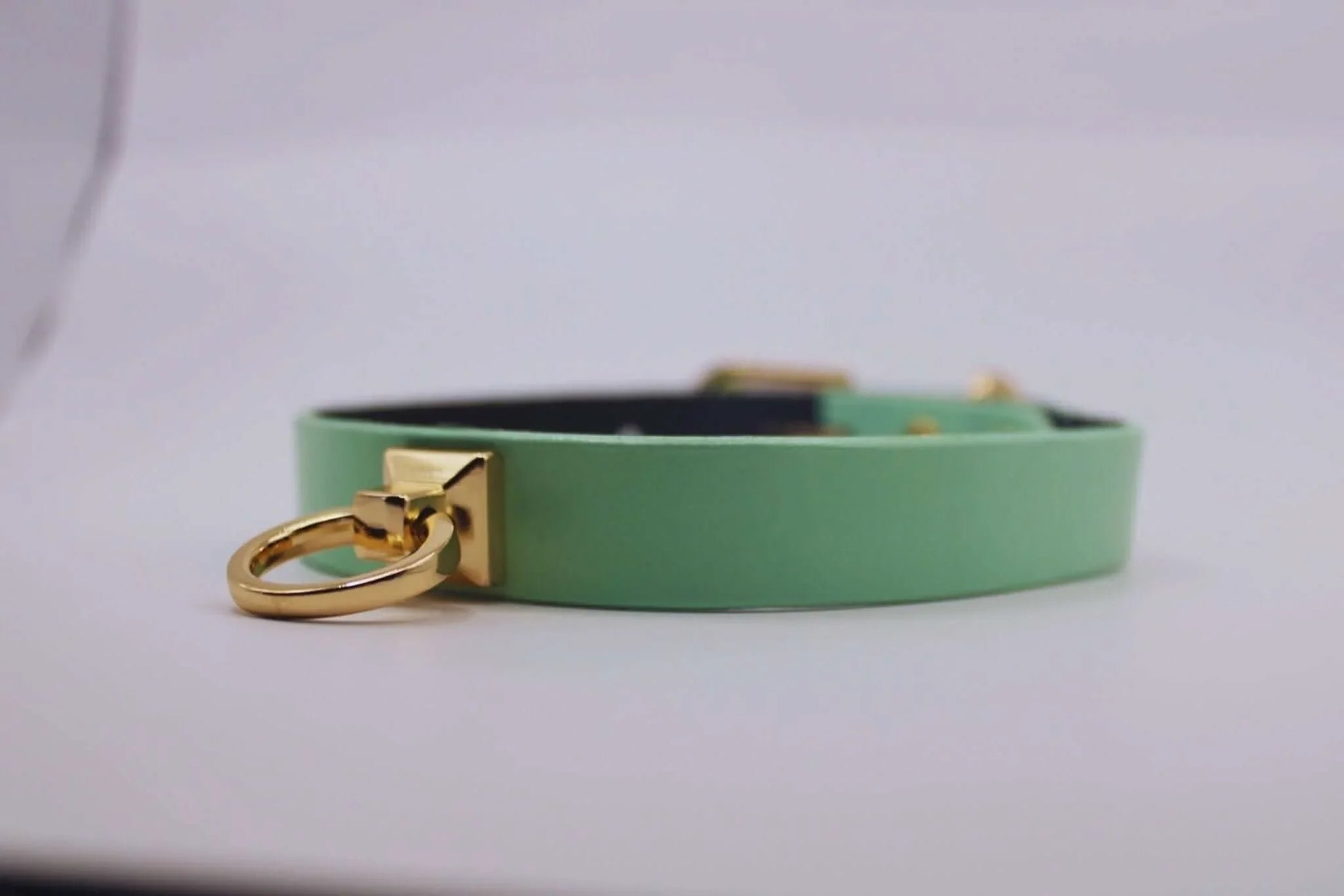 Collars For Women Mint Green Leather ORing Choker Collar for BDSM Play - Happytoys Sexshop: online sex shop for Feeling Happy & Easy 😊 - Discreet geleverd