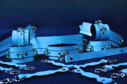 Bondage Gear Italian Leather Ultimate BDSM Gear Set