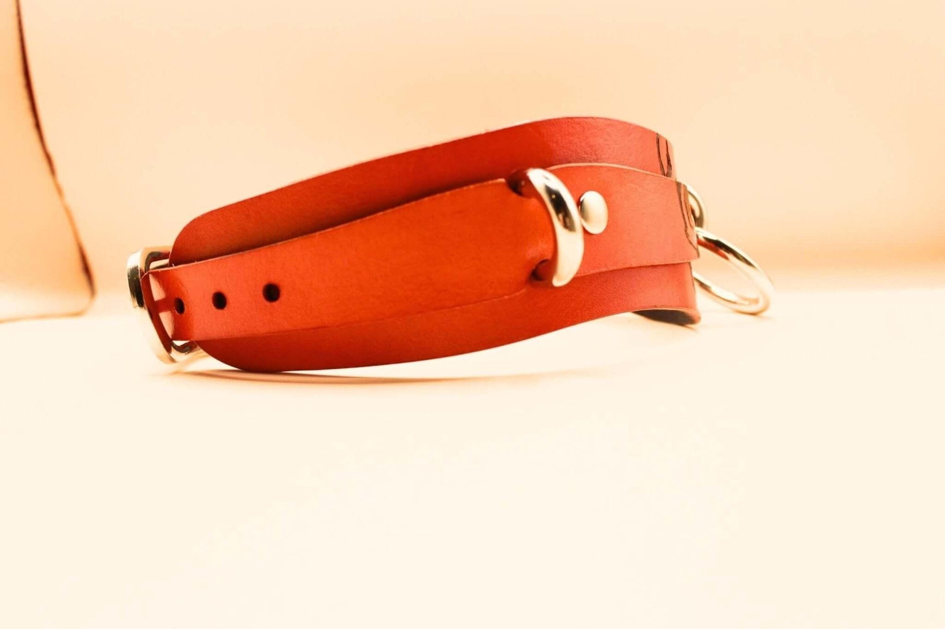 Bold Skull BDSM Collar Leather BDSM Collar for Submissive - Happytoys Sexshop: online sex shop for Feeling Happy & Easy 😊 - Discreet geleverd