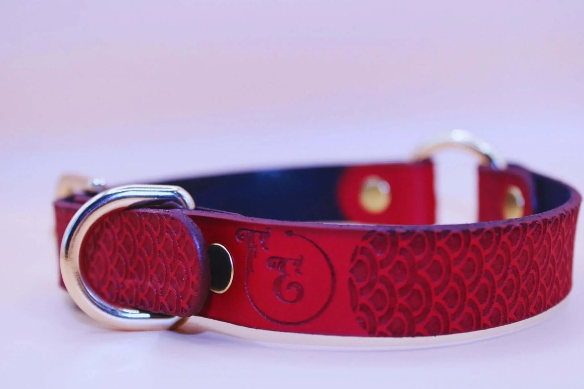 Crimson Scaled BDSM Collar with O-Ring - Submissive Bondage Accessory - Happytoys Sexshop: online sex shop for Feeling Happy & Easy 😊 - Discreet geleverd