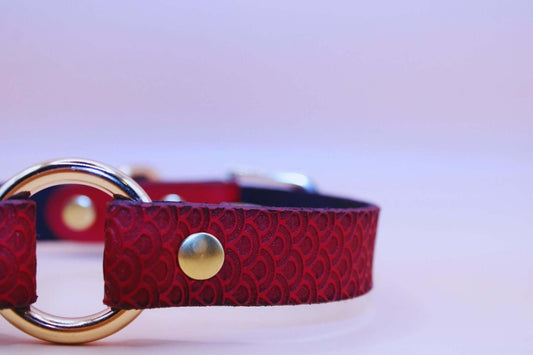 Crimson Scaled BDSM Collar with O-Ring - Submissive Bondage Accessory - Happytoys Sexshop: online sex shop for Feeling Happy & Easy 😊 - Discreet geleverd