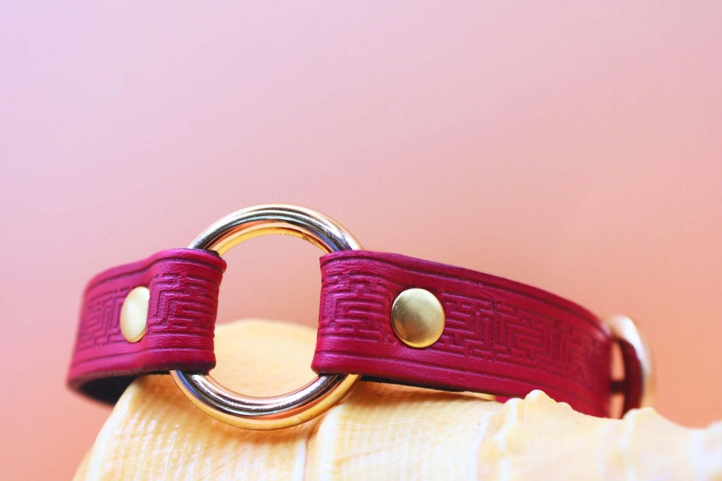 Red Submissive Collar O-Ring Submissive Collar | Sub Jewelry - Happytoys Sexshop: online sex shop for Feeling Happy & Easy 😊 - Discreet geleverd