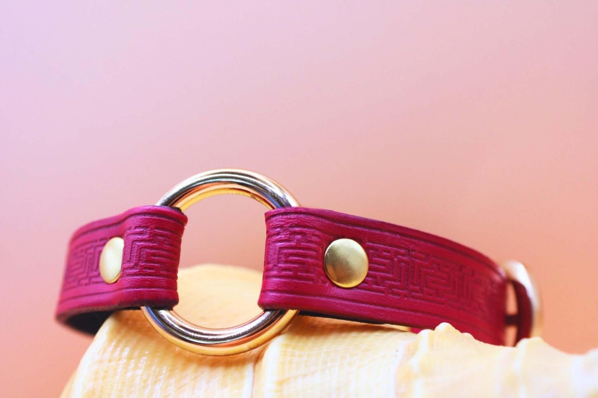 Red Submissive Collar O-Ring Submissive Collar | Sub Jewelry - Happytoys Sexshop: online sex shop for Feeling Happy & Easy 😊 - Discreet geleverd