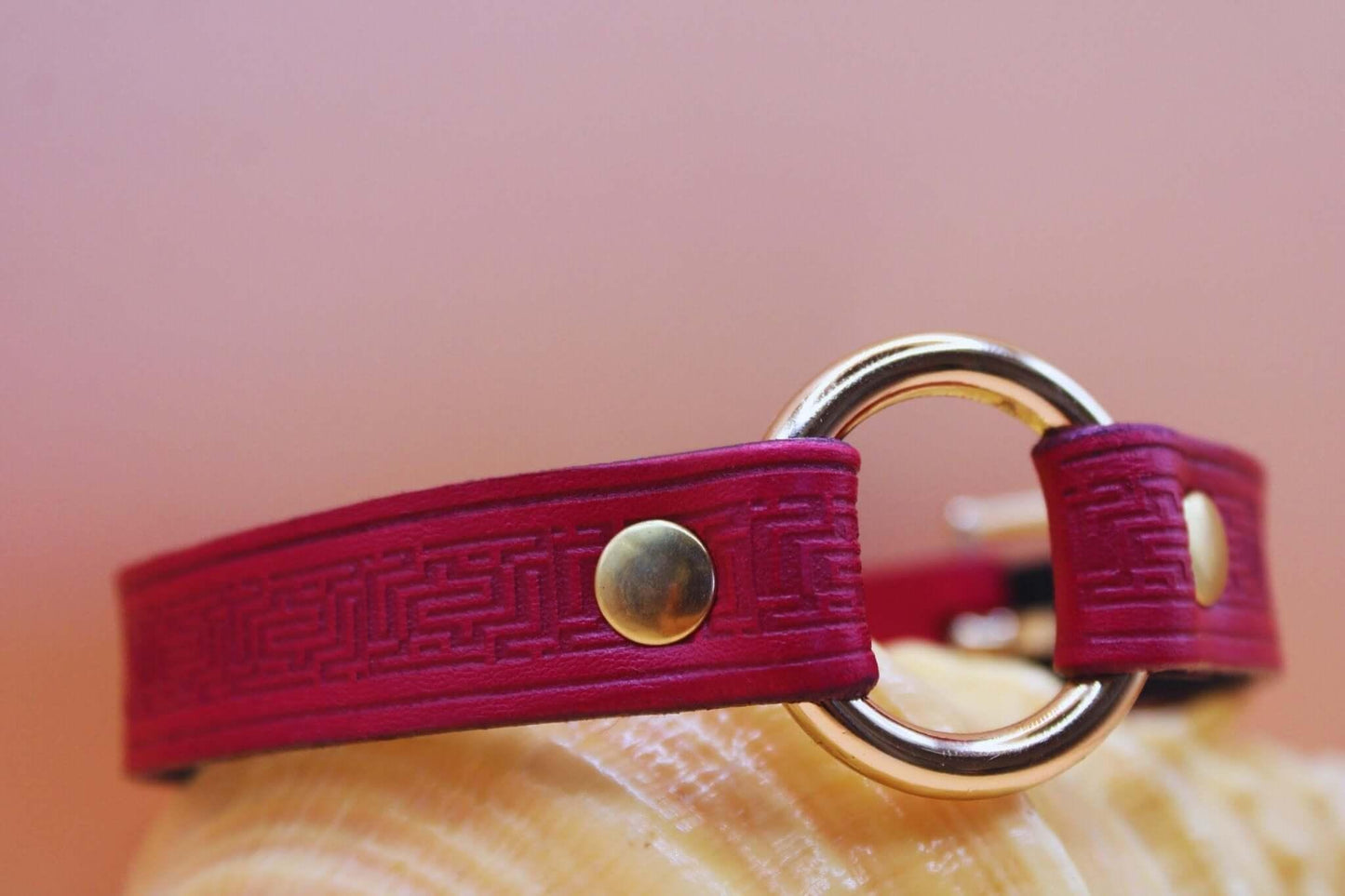 Red Submissive Collar O-Ring Submissive Collar | Sub Jewelry - Happytoys Sexshop: online sex shop for Feeling Happy & Easy 😊 - Discreet geleverd