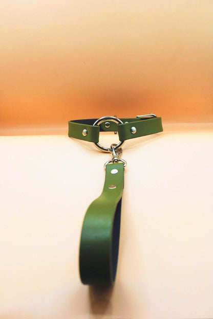 Choker Collar Olive Green Leather Collar Leash Set - Happytoys Sexshop: online sex shop for Feeling Happy & Easy 😊 - Discreet geleverd