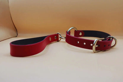 Submissive Collar Discreet BDSM Jewelry for Bondage Enthusiasts - Happytoys Sexshop: online sex shop for Feeling Happy & Easy 😊 - Discreet geleverd