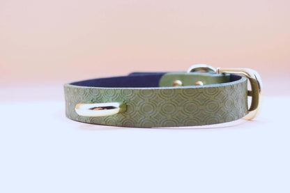 Elegant BDSM Collar Green Day Leather Choker Collar for Petplay