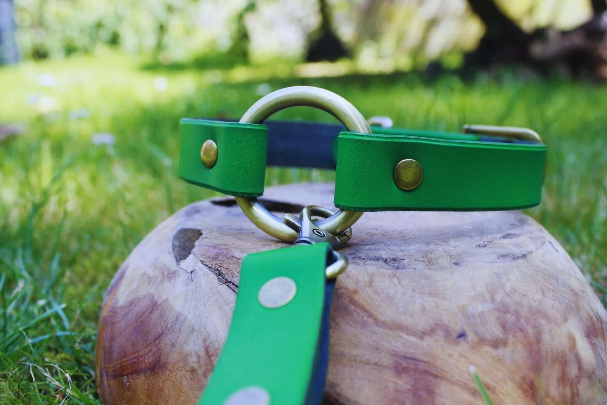 Green Leather BDSM Collar Handmade With Leash For Submissives - Happytoys Sexshop: online sex shop for Feeling Happy & Easy 😊 - Discreet geleverd