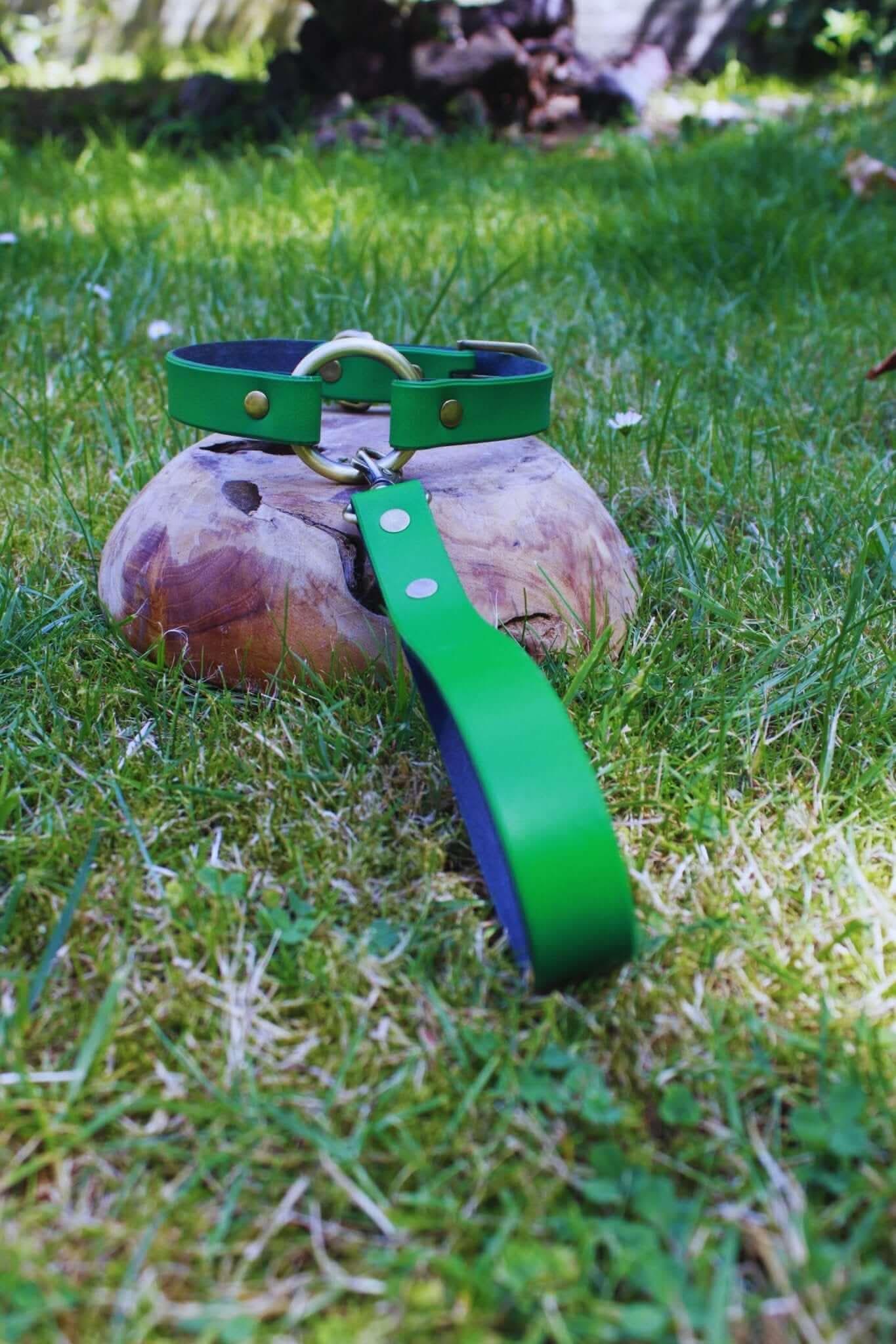 Green Leather BDSM Collar Handmade With Leash For Submissives - Happytoys Sexshop: online sex shop for Feeling Happy & Easy 😊 - Discreet geleverd