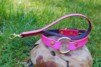 Neon Pink BDSM Collar Discreet Day Choker Submissive Jewelry - Happytoys Sexshop: online sex shop for Feeling Happy & Easy 😊 - Discreet geleverd