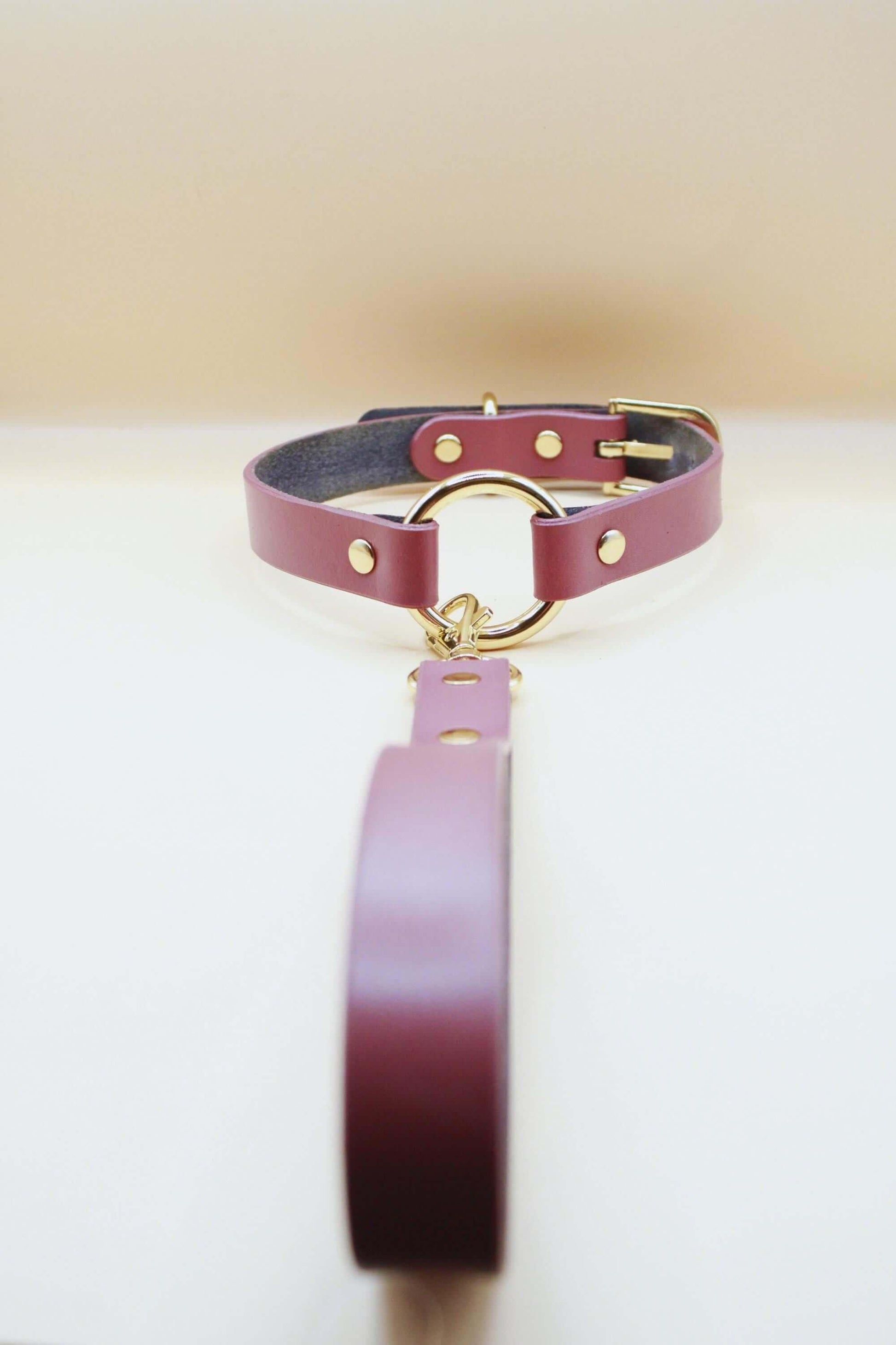 Submissive Jewelry Discreet Leather Day Collar Choker - Happytoys Sexshop: online sex shop for Feeling Happy & Easy 😊 - Discreet geleverd