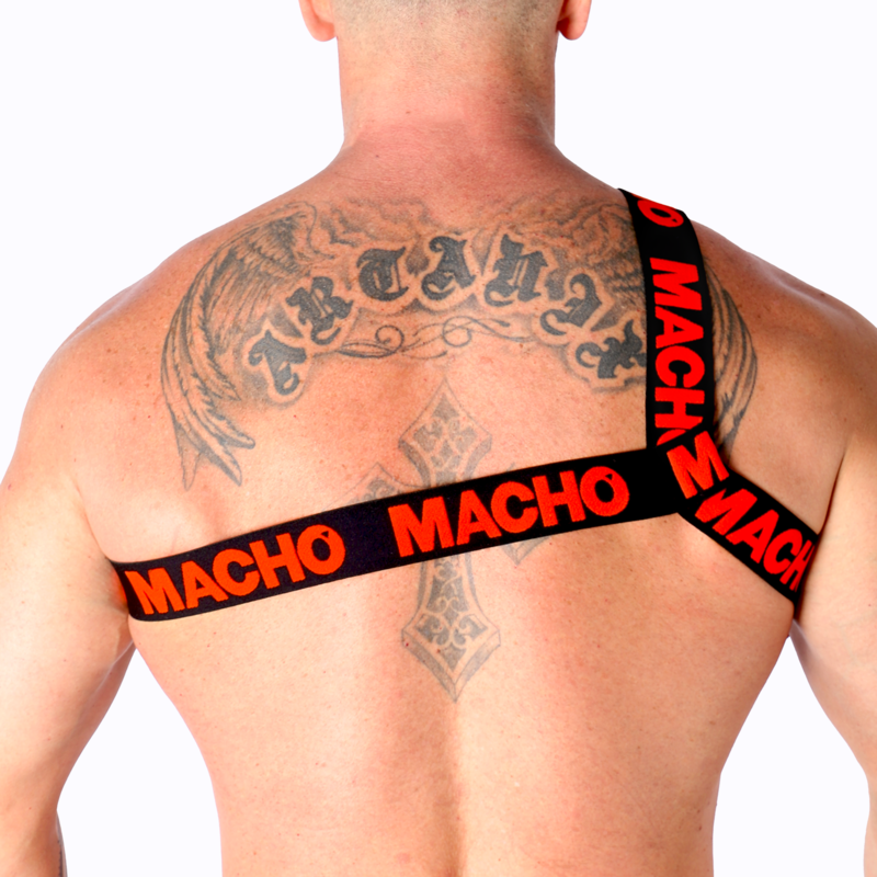 MACHO - ROMAN HARNESS WHITE S/M - Happytoys Sexshop: online sex shop for Feeling Happy & Easy 😊 - Discreet geleverd