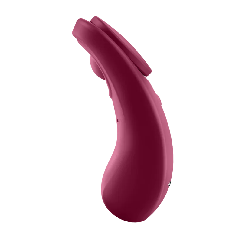 SATISFYER - SEXY SECRET PANTY - Happytoys Sexshop: online sex shop for Feeling Happy & Easy 😊 - Discreet geleverd