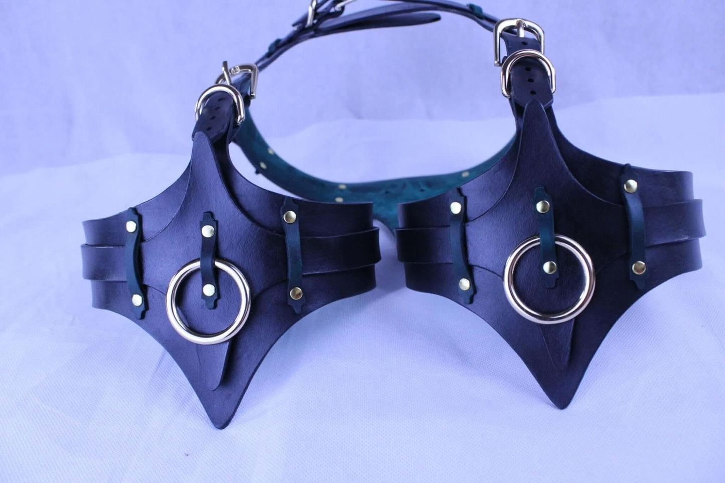 BDSM Gear Leather Thigh Harness with Cuffs BDSM Collar for Submissive - Happytoys Sexshop: online sex shop for Feeling Happy & Easy 😊 - Discreet geleverd