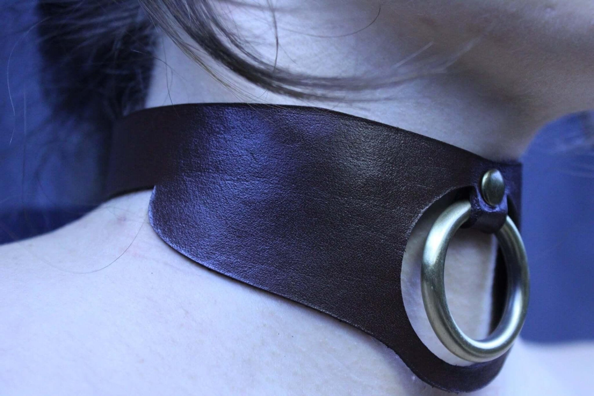 Minimalist BDSM collar Leather Posture Choker with O-Ring - Happytoys Sexshop: online sex shop for Feeling Happy & Easy 😊 - Discreet geleverd